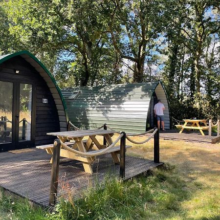 Nightjar Cabin At Cloudshill Glade Уеърхам Екстериор снимка