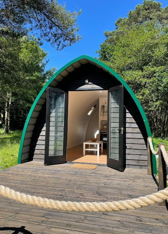 Nightjar Cabin At Cloudshill Glade Уеърхам Екстериор снимка