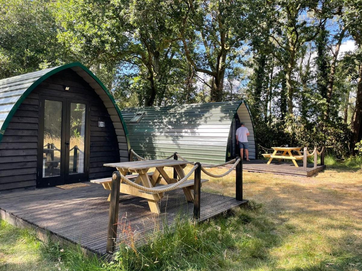 Nightjar Cabin At Cloudshill Glade Уеърхам Екстериор снимка